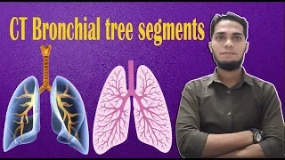 Study ct lung segments