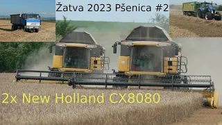 Žatva 2023 / Pšenica #2 / New Holland CX8080 / Claas Mega 360 / Zetor / John Deere 8400R