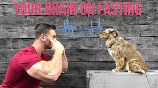 How Intermittent Fasting Affects the Brain: Thomas DeLauer