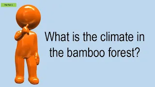 What Is The Climate In The Bamboo Forest?