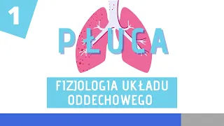 Fizjologia układu oddechowego cz. 1