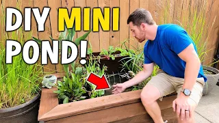 Making A Fancy DIY Patio Fish Pond w/ Aquaponics Filter!