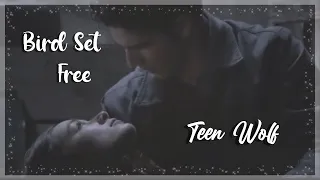 teen wolf | bird set free