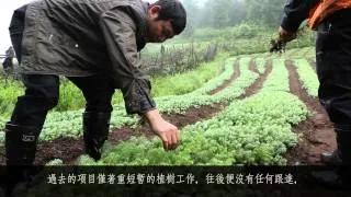 Restoring China's Forests 重建中國的樹林