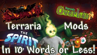 Terraria Mods Described With 10 Words or Less