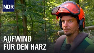 Wandern, Wald und Aufwind - Die jungen Wilden im Harz | die nordstory | NDR
