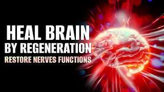 Brain Plasticity | Heal Brain By Regeneration | Restore Nerves Functions | 528 Hz Isochronic Tones