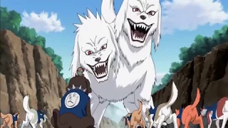 naruto shippuden - Kiba vs Kakashi's Dogs