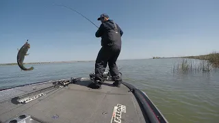 Western Bass Shootout Californa Delta