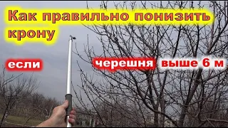 Как СНИЗИТЬ КРОНУ ЧЕРЕШНЕ выше 6м