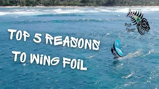 Top 5 Reasons to get into Wing Foiling