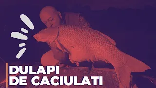 "Dulapi" de Căciulați