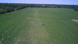 cotton spraying 2 2016