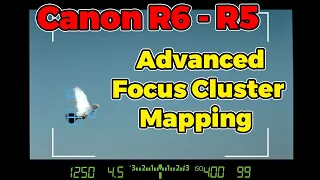 Canon R5/R6 Tutorial - Advanced Focus Cluster Mapping for BIF - Birds In Flight Shooting