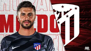 Horatiu Moldovan - Welcome to Atletico Madrid! Best Reflexes 2024