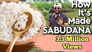 Sabudana : How It's Made ||साबूदाना कैसे तय्यार किया जाता है || Farming engineer