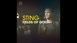 Sting - Fields of Gold (Instrumental)