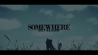 [amv] somewhere only we know | she & her cat