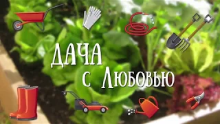 Создаем рассаде комфортные условия