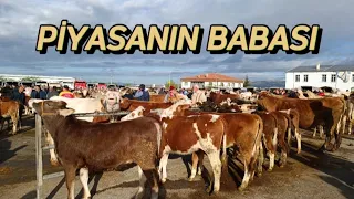 KIRŞEHİR HAYVAN PAZARI 21 NİSAN GÜNCEL FİYATLAR