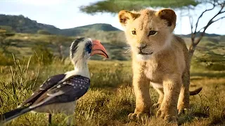 Simba, a young lion prince, Avenges the Murder of his Father Mufasa and Becomes a True King.