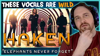Composer Reacts to Haken - Elephants Never Forget (REACTION & ANALYSIS)