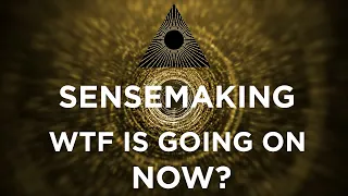 Now What the F**k is Going On? Sensemaking Series