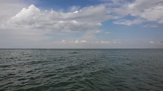 Остров Джарылгач.Херсонская область.Скадовск Черное море 2018