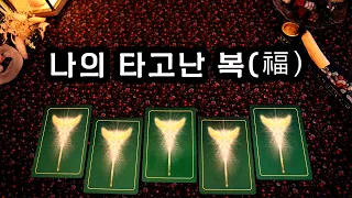 [타로] 나의 타고난 복 福