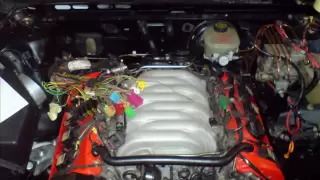Audi 80 V8 Umbau
