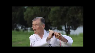 Traditional Korean Martial Arts   Taekkyon, Subak, Sword, Archery etc