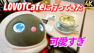 【LOVOTCafeラボットカフェ】癒しロボット「LOVOT」とふれあえる 川崎駅からすぐラゾーナ川崎 雨の日のお出かけ