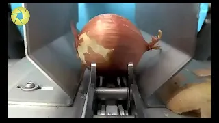 How To Peel, Slice, Dice Onion With Only Machine | Onion Processing Plant
