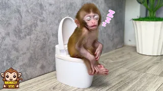 Monkey baby Yumy falls asleep on the toilet after waking up too early!