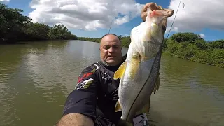 Lua Nova + Água Fria e Limpa = Robalo Arisco e Cabreiro!!!