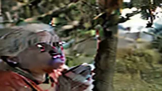 [AI] grandma eating tree in the road