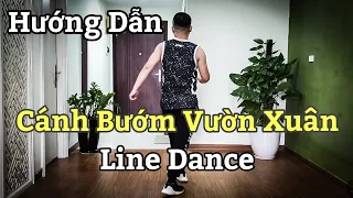 Hướng Dẫn CÁNH BƯỚM VƯỜN XUÂN - cha cha line dance / leo (BÀI KHỚP NHẠC BẤM)