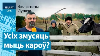 Лукашенко загонит коров и колхозников в один загон /Фельетоны Лупача