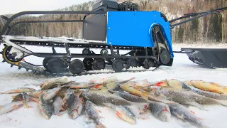 ПЛОТВА СОШЛА С УМА!!! БЕШЕННЫЙ ЖОР! Первая рыбалка с БАРБОСОМ часть 1.