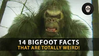 14 Mysterious Bigfoot Facts