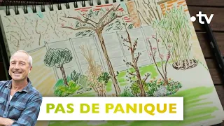 Pas de panique : créer un sous-bois dans un jardin de maison - Silence ça pousse 1er avril 2023