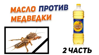 Большая охота на медведок. Часть 2