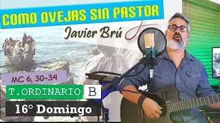 Como Ovejas sin Pastor - Javier Brú | 16° Domingo del T.Ordinario Ciclo B (Mc 6, 30-34)