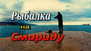 🔴ДЕЛО ПОШЛО! Я СЕГОДНЯ С РЫБОЙ. Морская Рыбалка. Морской Окунь. Смарида. Крым. Ялта.