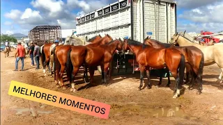 FEIRA DE CAVALO DE CARUARU PE - MELHORES MOMENTOS!!