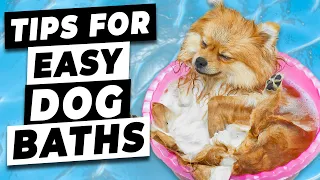 How To Give Your Dog A Bath (Tips to make giving your dog a bath EASIER)