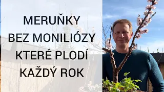 🚫 Přestaňte UBLIŽOVAT svým meruňkám 🚫 7 chyb v řezu, stříhání a péči, kterými ničíte své meruňky 🌳