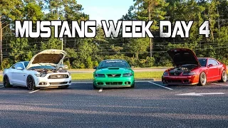 Mustang Week 2017 Day 4 Car Show