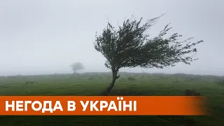 Штормовое предупреждение в Украине: регионы накроют грозы, град и шквалы