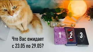 Что Вас ожидает на этой неделе?🎬 с 23.05-по 29.05 ✨Книга судеб